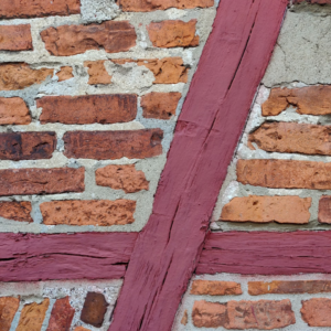 Silver Moustache Carrot