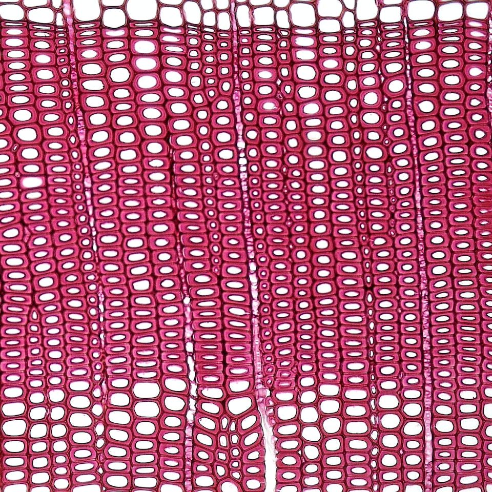 Gun Lamb Hot Grey Dress - obrazek 1