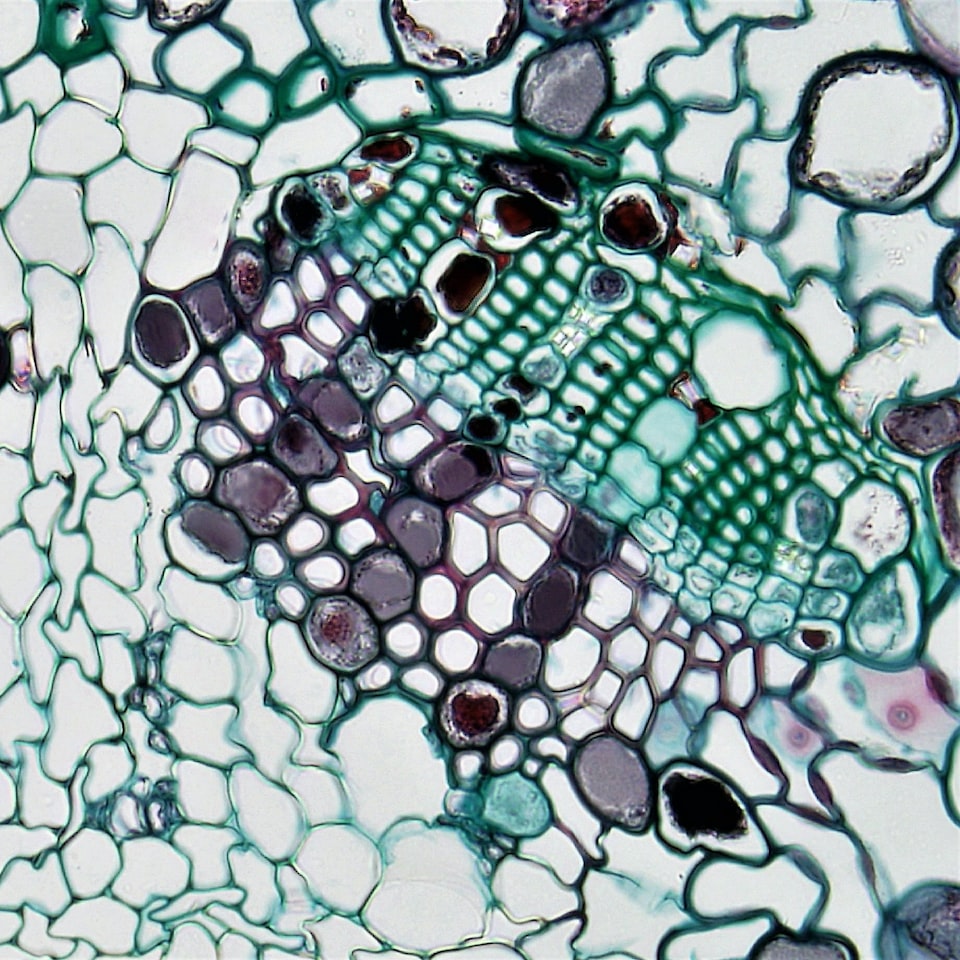 Chair Download Cold - obrazek 1