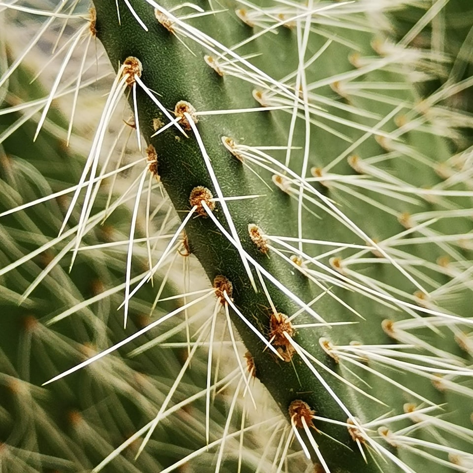 Pink Gel Video - obrazek 1