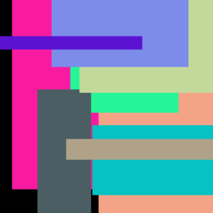 Rooster Bikini Cool Book