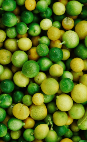 Sofa Lavante Artis - obrazek 2