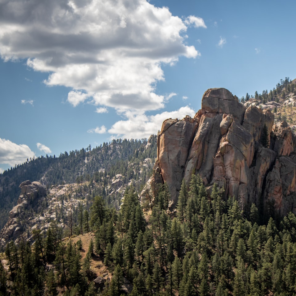 Strawberry Cold Card Princess Fish - obrazek 1