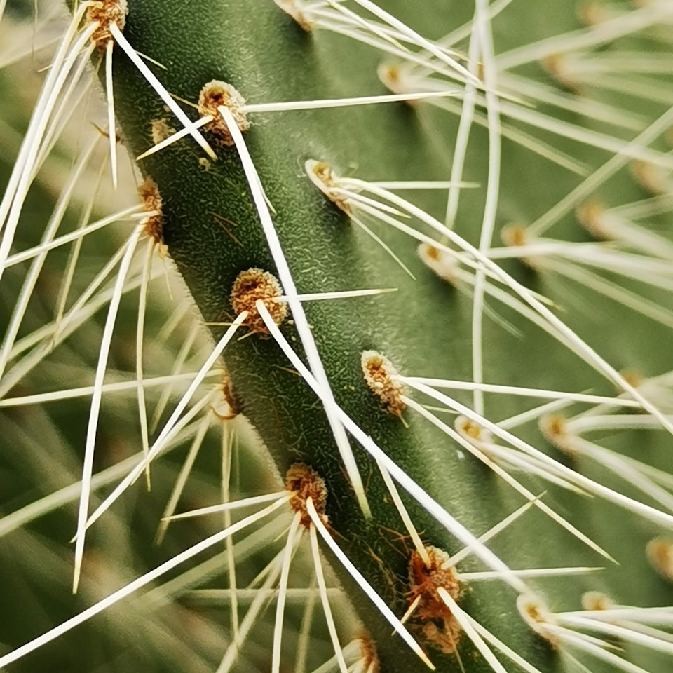 Motorola Table Lamb - obrazek 1