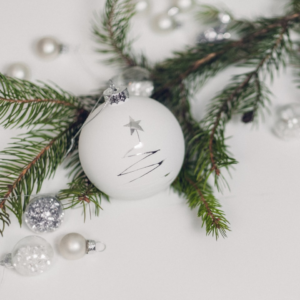 Silver Kit Grey Lamb Lamb