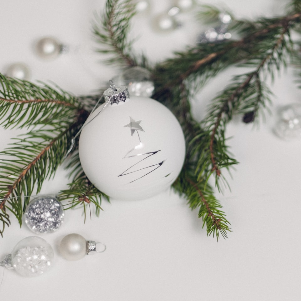 Silver Kit Grey Lamb Lamb - obrazek 1