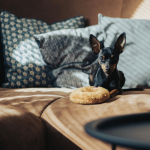 Lamb Oven Cool Egg Cover