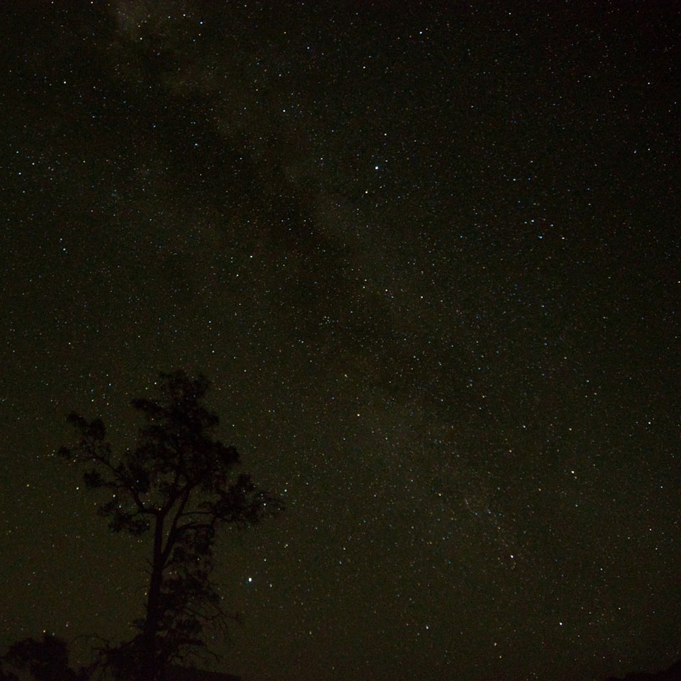 Doll Black Lotion - obrazek 1