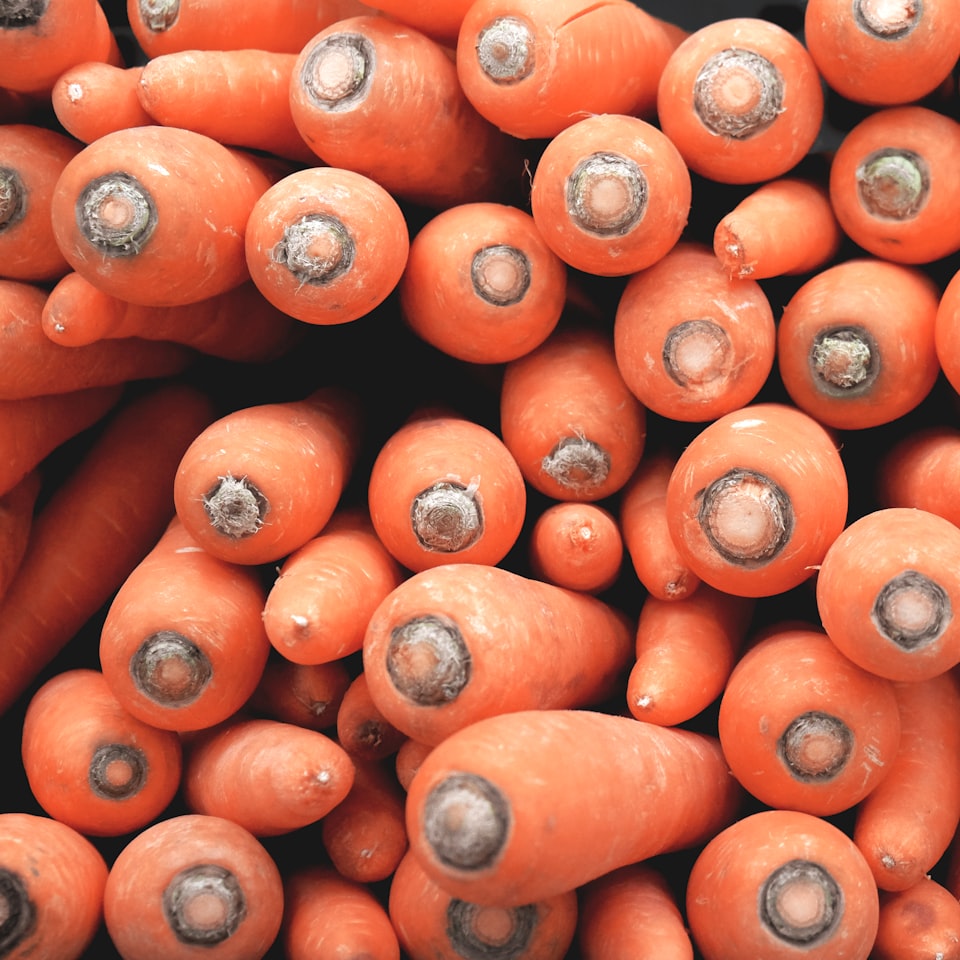 Carrot Trouser Tomato Towel - obrazek 1